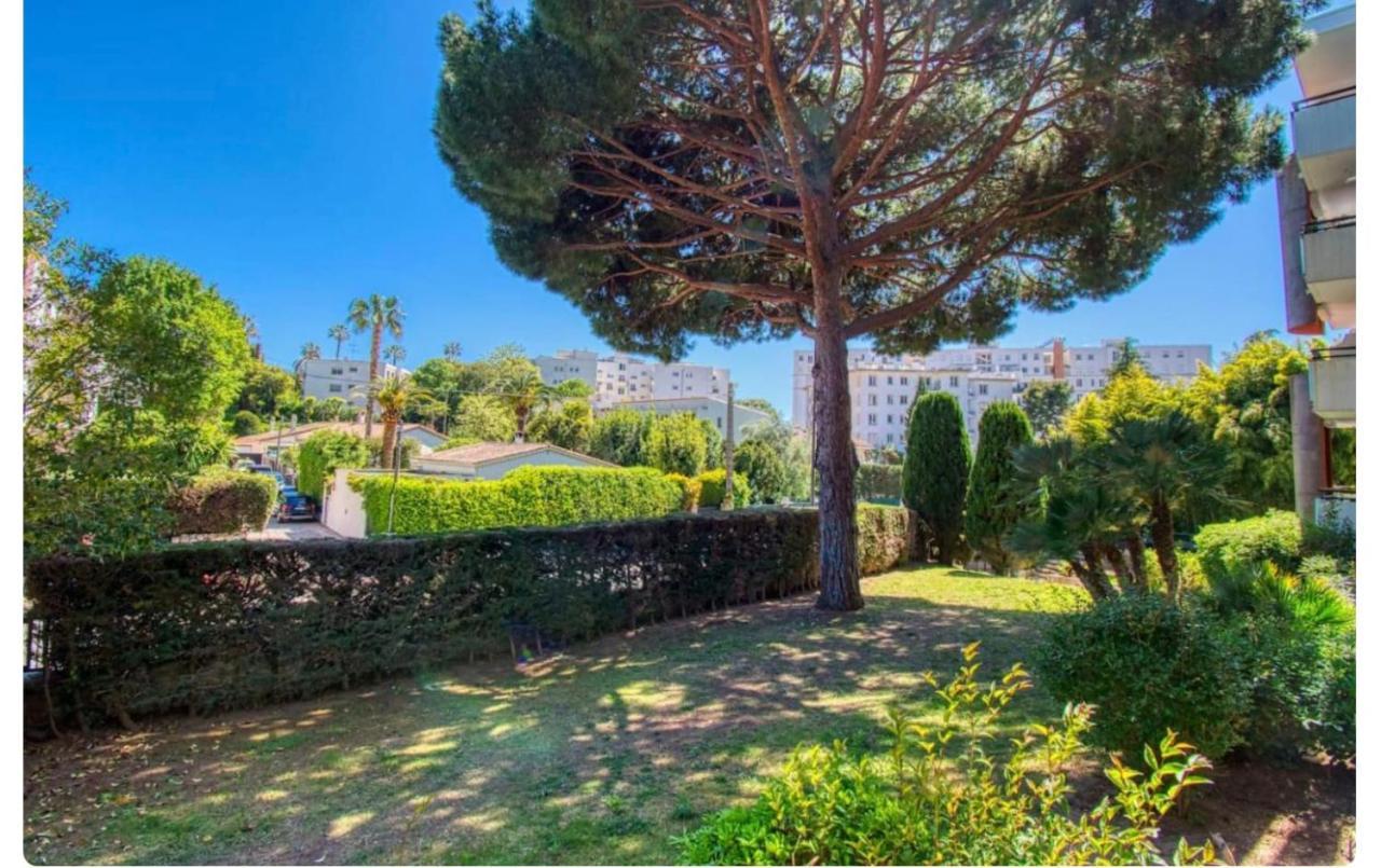 Superbe Studio Lumineux Sur Cannes Avec Terrasse ! A Quelques Minutes De La Celebre Rue D'Antibes ! Luaran gambar